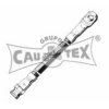 CAUTEX 010066 Brake Hose